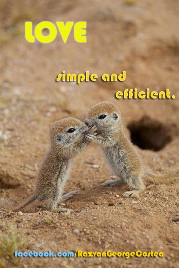 love - simple and efficient