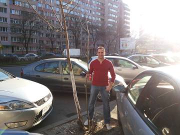 Planting trees on the boulevard - Razvan Costea